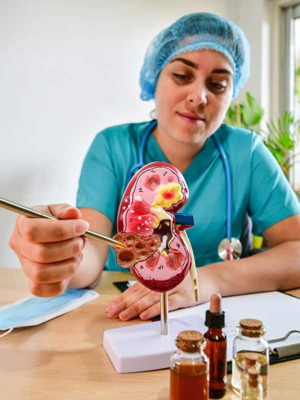 nurse pointing vain in kidney